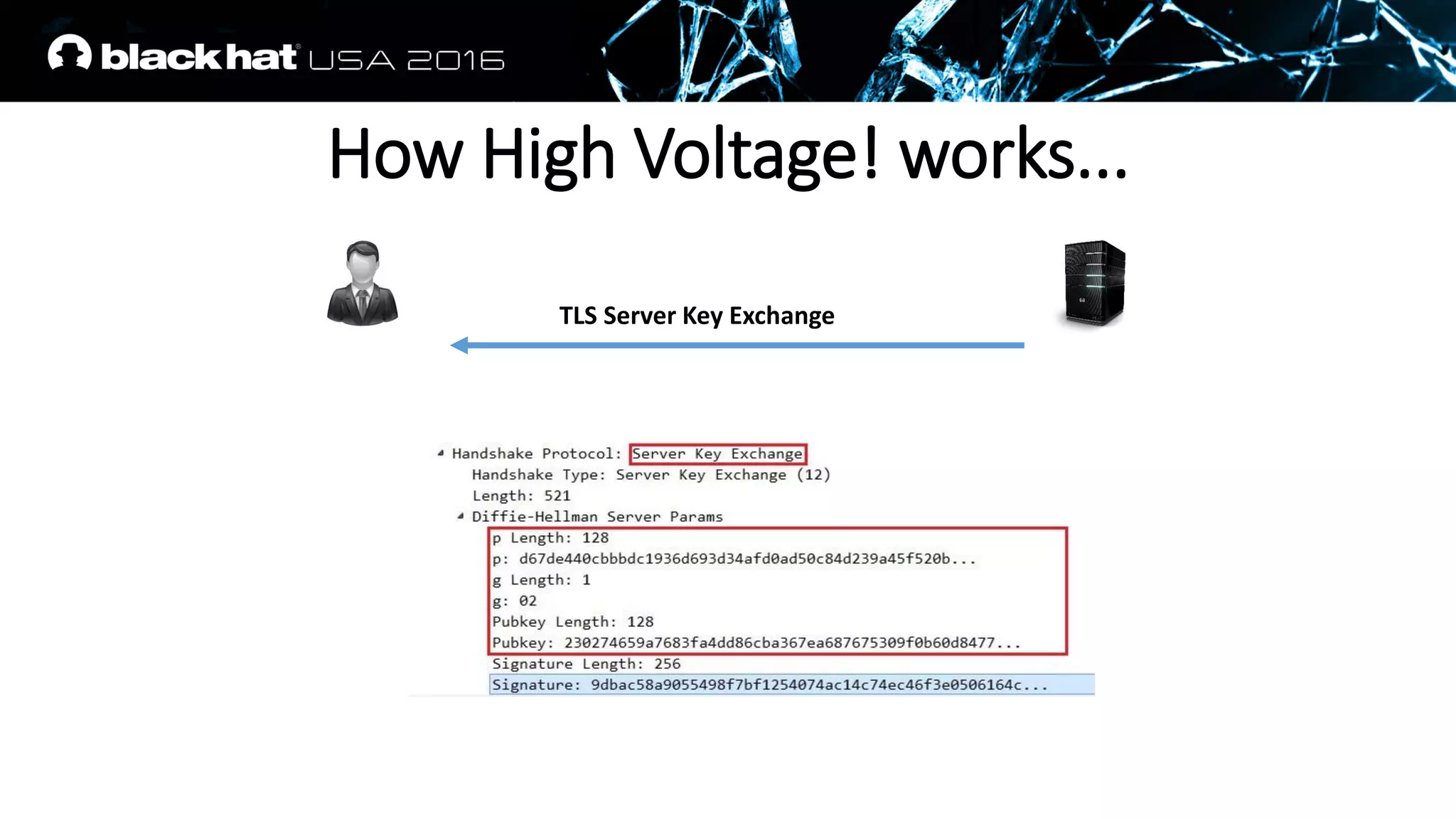 TLS Server Key Exchange
How High Voltage! works...
 