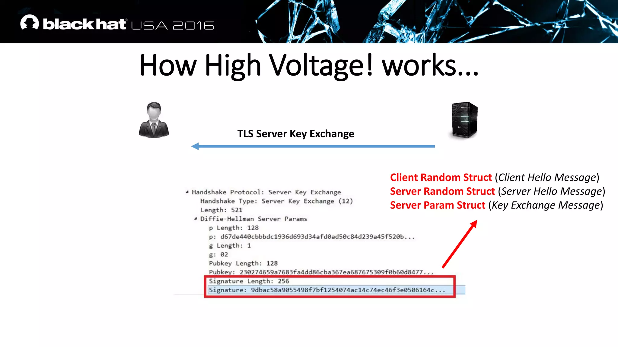 TLS Server Key Exchange
Client Random Struct (Client Hello Message)
Server Random Struct (Server Hello Message)
Server Param Struct (Key Exchange Message)
How High Voltage! works...
 