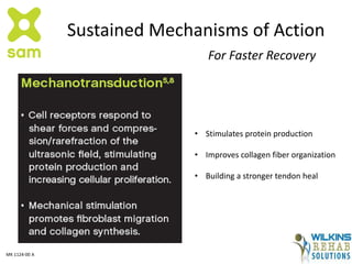 Sustained Mechanisms of Action
For Faster Recovery
• Stimulates protein production
• Improves collagen fiber organization
• Building a stronger tendon heal
MK 1124-00 A
 