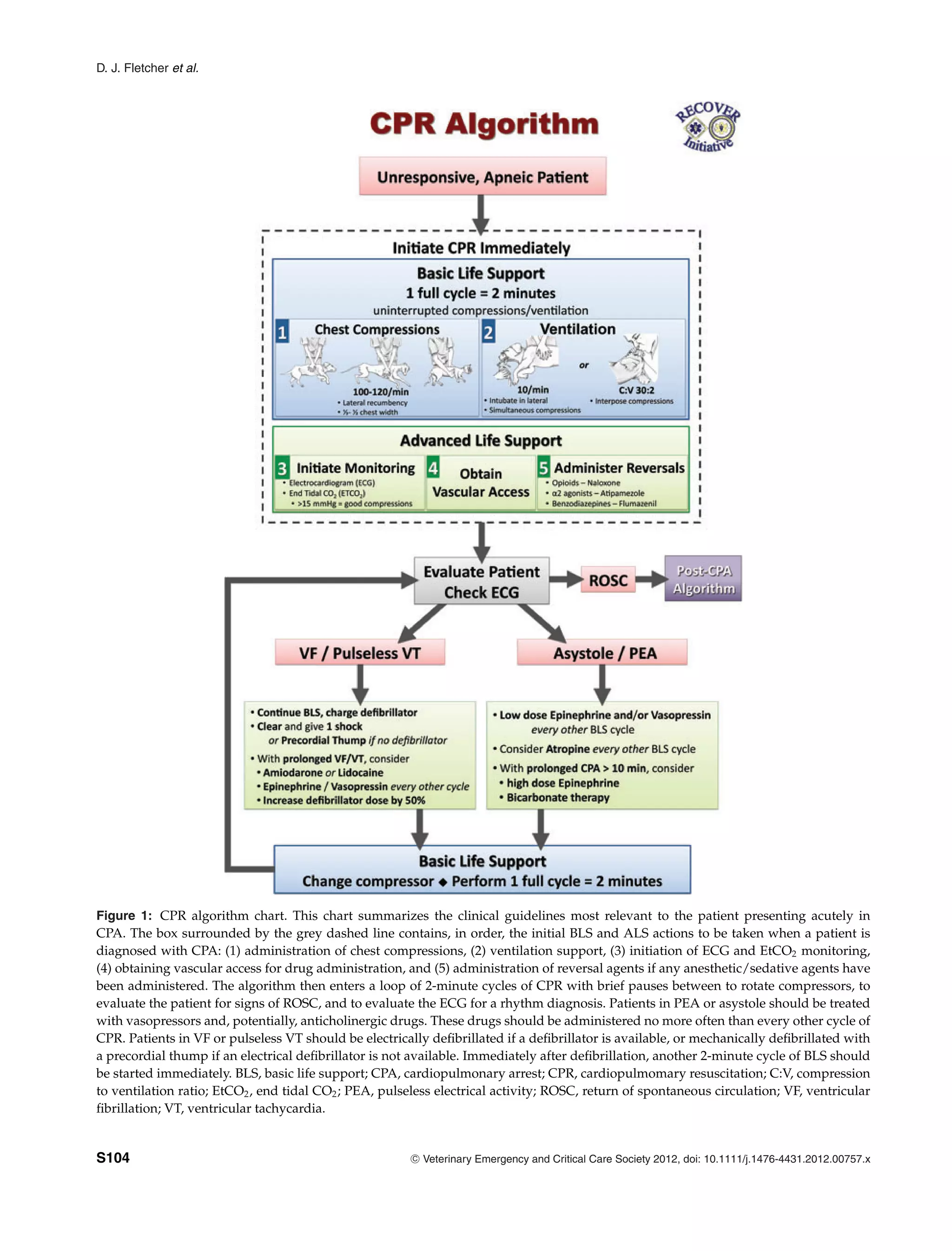 D. J. Fletcher et al.
Figure 1: CPR algorithm chart. This chart summarizes the clinical guidelines most relevant to the patient presenting acutely in
CPA. The box surrounded by the grey dashed line contains, in order, the initial BLS and ALS actions to be taken when a patient is
diagnosed with CPA: (1) administration of chest compressions, (2) ventilation support, (3) initiation of ECG and EtCO2 monitoring,
(4) obtaining vascular access for drug administration, and (5) administration of reversal agents if any anesthetic/sedative agents have
been administered. The algorithm then enters a loop of 2-minute cycles of CPR with brief pauses between to rotate compressors, to
evaluate the patient for signs of ROSC, and to evaluate the ECG for a rhythm diagnosis. Patients in PEA or asystole should be treated
with vasopressors and, potentially, anticholinergic drugs. These drugs should be administered no more often than every other cycle of
CPR. Patients in VF or pulseless VT should be electrically defibrillated if a defibrillator is available, or mechanically defibrillated with
a precordial thump if an electrical defibrillator is not available. Immediately after defibrillation, another 2-minute cycle of BLS should
be started immediately. BLS, basic life support; CPA, cardiopulmonary arrest; CPR, cardiopulmomary resuscitation; C:V, compression
to ventilation ratio; EtCO2, end tidal CO2; PEA, pulseless electrical activity; ROSC, return of spontaneous circulation; VF, ventricular
fibrillation; VT, ventricular tachycardia.
S104 C
" Veterinary Emergency and Critical Care Society 2012, doi: 10.1111/j.1476-4431.2012.00757.x
 