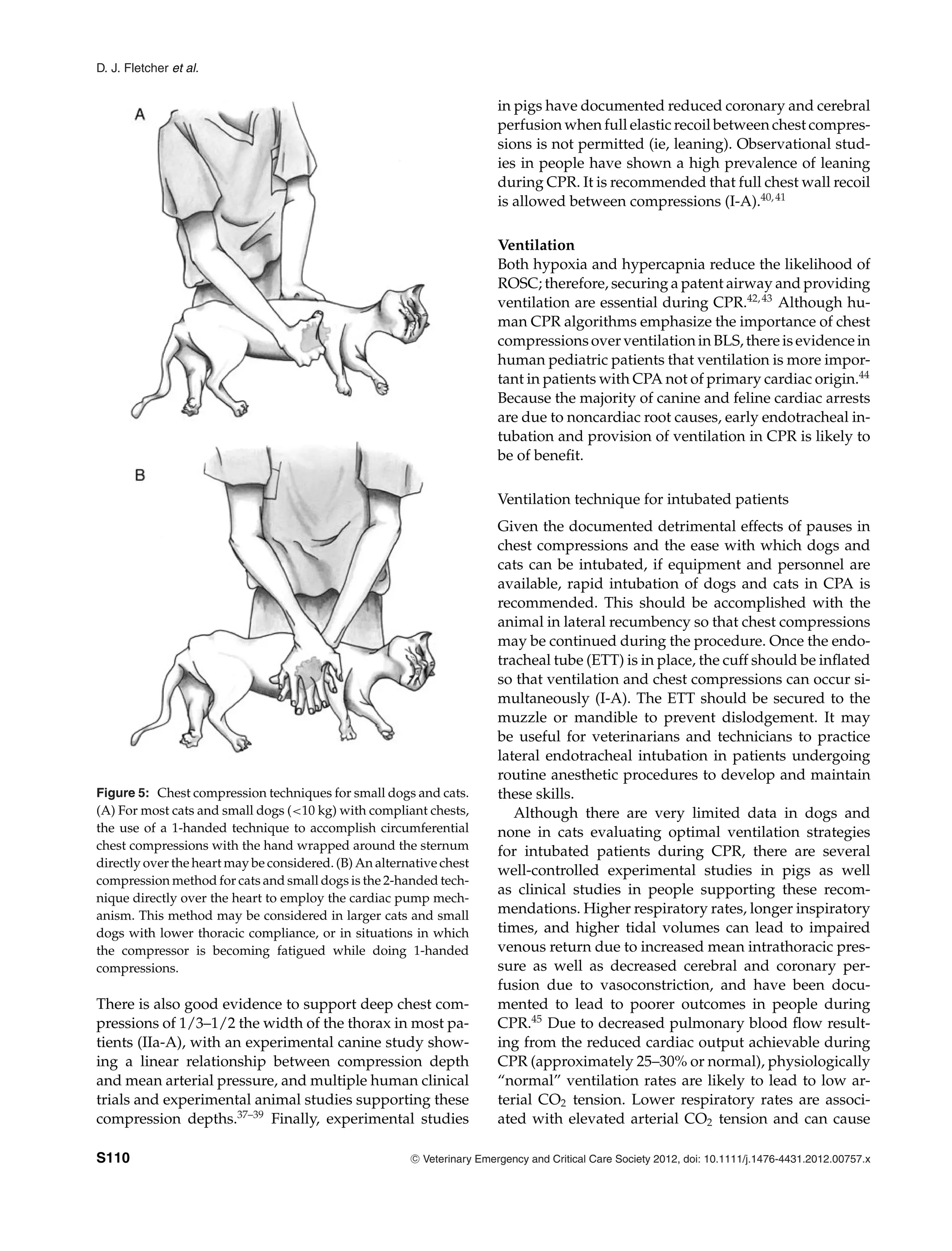 D. J. Fletcher et al.
Figure 5: Chest compression techniques for small dogs and cats.
(A) For most cats and small dogs (<10 kg) with compliant chests,
the use of a 1-handed technique to accomplish circumferential
chest compressions with the hand wrapped around the sternum
directly over the heart may be considered. (B) An alternative chest
compression method for cats and small dogs is the 2-handed tech-
nique directly over the heart to employ the cardiac pump mech-
anism. This method may be considered in larger cats and small
dogs with lower thoracic compliance, or in situations in which
the compressor is becoming fatigued while doing 1-handed
compressions.
There is also good evidence to support deep chest com-
pressions of 1/3–1/2 the width of the thorax in most pa-
tients (IIa-A), with an experimental canine study show-
ing a linear relationship between compression depth
and mean arterial pressure, and multiple human clinical
trials and experimental animal studies supporting these
compression depths.37–39
Finally, experimental studies
in pigs have documented reduced coronary and cerebral
perfusion when full elastic recoil between chest compres-
sions is not permitted (ie, leaning). Observational stud-
ies in people have shown a high prevalence of leaning
during CPR. It is recommended that full chest wall recoil
is allowed between compressions (I-A).40,41
Ventilation
Both hypoxia and hypercapnia reduce the likelihood of
ROSC; therefore, securing a patent airway and providing
ventilation are essential during CPR.42,43
Although hu-
man CPR algorithms emphasize the importance of chest
compressions over ventilation in BLS, there is evidence in
human pediatric patients that ventilation is more impor-
tant in patients with CPA not of primary cardiac origin.44
Because the majority of canine and feline cardiac arrests
are due to noncardiac root causes, early endotracheal in-
tubation and provision of ventilation in CPR is likely to
be of benefit.
Ventilation technique for intubated patients
Given the documented detrimental effects of pauses in
chest compressions and the ease with which dogs and
cats can be intubated, if equipment and personnel are
available, rapid intubation of dogs and cats in CPA is
recommended. This should be accomplished with the
animal in lateral recumbency so that chest compressions
may be continued during the procedure. Once the endo-
tracheal tube (ETT) is in place, the cuff should be inflated
so that ventilation and chest compressions can occur si-
multaneously (I-A). The ETT should be secured to the
muzzle or mandible to prevent dislodgement. It may
be useful for veterinarians and technicians to practice
lateral endotracheal intubation in patients undergoing
routine anesthetic procedures to develop and maintain
these skills.
Although there are very limited data in dogs and
none in cats evaluating optimal ventilation strategies
for intubated patients during CPR, there are several
well-controlled experimental studies in pigs as well
as clinical studies in people supporting these recom-
mendations. Higher respiratory rates, longer inspiratory
times, and higher tidal volumes can lead to impaired
venous return due to increased mean intrathoracic pres-
sure as well as decreased cerebral and coronary per-
fusion due to vasoconstriction, and have been docu-
mented to lead to poorer outcomes in people during
CPR.45
Due to decreased pulmonary blood flow result-
ing from the reduced cardiac output achievable during
CPR (approximately 25–30% or normal), physiologically
“normal” ventilation rates are likely to lead to low ar-
terial CO2 tension. Lower respiratory rates are associ-
ated with elevated arterial CO2 tension and can cause
S110 C
" Veterinary Emergency and Critical Care Society 2012, doi: 10.1111/j.1476-4431.2012.00757.x
 