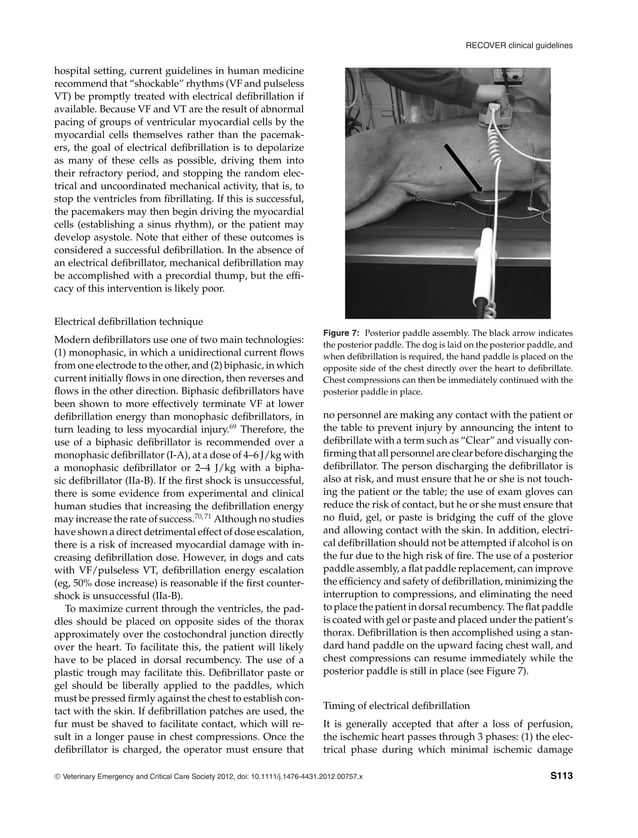 RECOVER clinical guidelines[3967].pdf