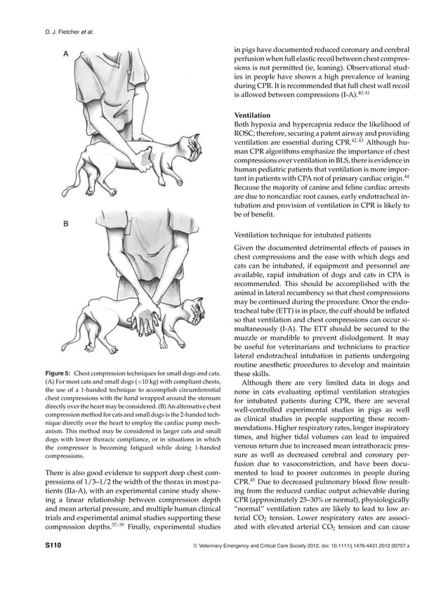 RECOVER clinical guidelines[3967].pdf