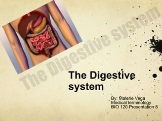 The Digestive system The Digestive system By: Malerie Vega Medical terminology BIO 120 Presentation 8 