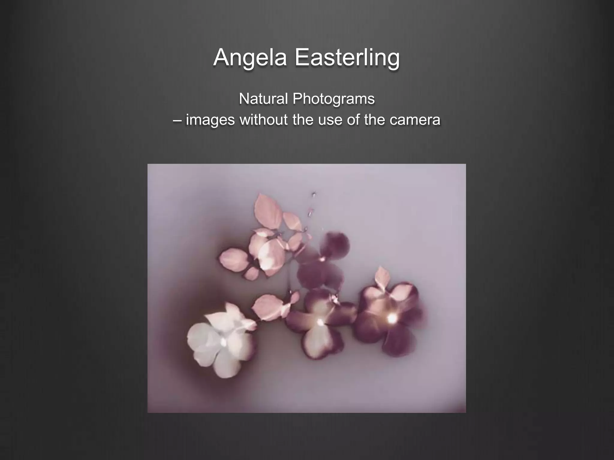 Angela EasterlingNatural Photograms – images without the use of the camera