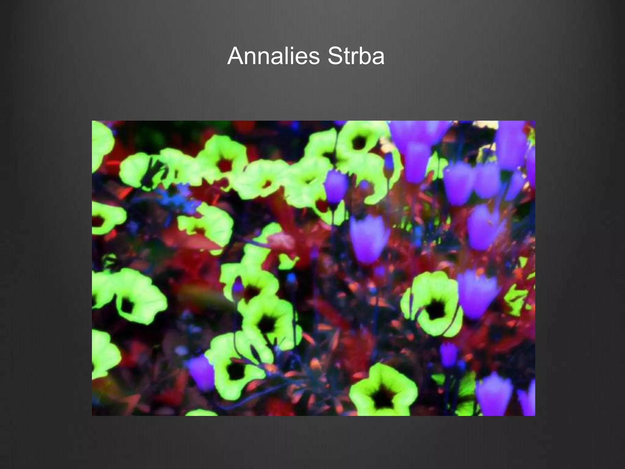AnnaliesStrba