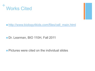+
    Works Cited


     http://www.biology4kids.com/files/cell_main.html




     Dr.   Learman, BIO 110H, Fall 2011



     Pictures   were cited on the individual slides
 