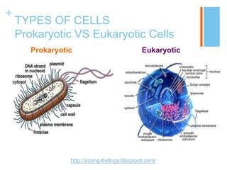 +
    TYPES OF CELLS
    Prokaryotic VS Eukaryotic Cells
       Prokaryotic                            Eukaryotic




                 http://jisong-biology.blogspot.com/
 