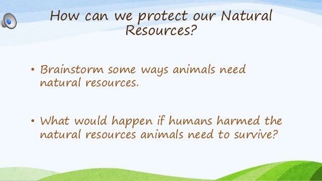 Conservation Of Natural Resources Review Of Literature Conservation Of Natural Resources Review Of Literature
