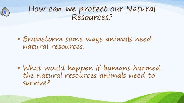 Protecting our natural resources essay