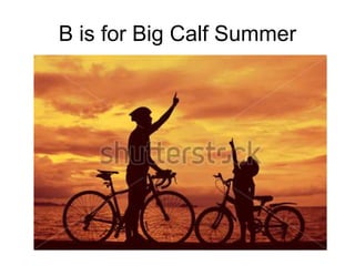 B is for Big Calf Summer
 