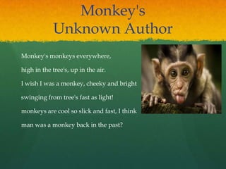 Monkey's
Unknown Author
Monkey's monkeys everywhere,
high in the tree's, up in the air.
I wish I was a monkey, cheeky and bright
swinging from tree's fast as light!
monkeys are cool so slick and fast, I think
man was a monkey back in the past?
 