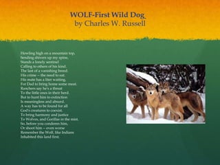 WOLF-First Wild Dog  
by Charles W. Russell
Howling high on a mountain top,
Sending shivers up my spine,
Stands a lonely sentinel
Calling to others of his kind.
The last of a vanishing breed.
His crime -- the need to eat.
His mate has a liter waiting,
For Dad to bring home some meat.
Ranchers say he's a threat
To the little ones in their herd.
But to hunt him to extinction
Is meaningless and absurd.
A way has to be found for all
God's creatures to coexist.
To bring harmony and justice
To Wolves, and Gorillas in the mist.
So, before you condemn him,
Or shoot him -- even worse
Remember the Wolf, like Indians
Inhabited this land first.
 