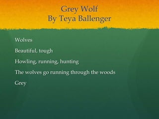 Grey Wolf
By Teya Ballenger
Wolves
Beautiful, tough
Howling, running, hunting
The wolves go running through the woods
Grey
 