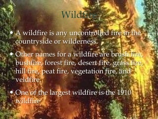 Wildfire
 A wildfire is any uncontrolled fire in the
countryside or wilderness.
 Other names for a wildfire are brush fire,
bushfire, forest fire, desert fire, grass fire,
hill fire, peat fire, vegetation fire, and
veldfire.
 One of the largest wildfire is the 1910
wildfire
 