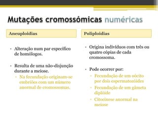 Aneuploidias Poliploidias
• Alteração num par específico
de homólogos.
• Resulta de uma não-disjunção
durante a meiose.
▫ Na fecundação originam-se
embriões com um número
anormal de cromossomas.
• Origina indivíduos com três ou
quatro cópias de cada
cromossoma.
• Pode ocorrer por:
▫ Fecundação de um oócito
por dois espermatozóides
▫ Fecundação de um gâmeta
diplóide
▫ Citocinese anormal na
meiose
 