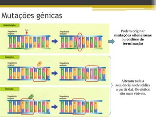Mutações génicas
Podem originar
mutações silenciosas
ou codões de
terminação
Alteram toda a
sequência nucleotídica
a partir daí. Os efeitos
são mais visíveis.
 
