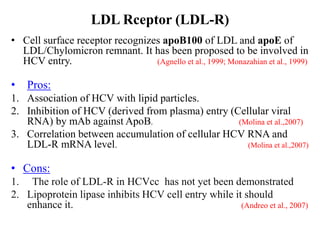 LDL Rceptor (LDL-R)
• Cell surface receptor recognizes apoB100 of LDL and apoE of
LDL/Chylomicron remnant. It has been proposed to be involved in
HCV entry. (Agnello et al., 1999; Monazahian et al., 1999)
• Pros:
1. Association of HCV with lipid particles.
2. Inhibition of HCV (derived from plasma) entry (Cellular viral
RNA) by mAb against ApoB. (Molina et al.,2007)
3. Correlation between accumulation of cellular HCV RNA and
LDL-R mRNA level. (Molina et al.,2007)
• Cons:
1. The role of LDL-R in HCVcc has not yet been demonstrated
2. Lipoprotein lipase inhibits HCV cell entry while it should
enhance it. (Andreo et al., 2007)
 