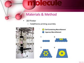 Vascular Biofabrication using 3D Bioprinting | PPTX