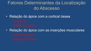 Fatores Determinantes da Localização
do Abscesso
• Relação do ápice com a cortical óssea
– Vestibular
– Palatino/Lingual
• Relação do ápice com as inserções musculares
– Vestíbulo bucal
– Espaços fasciais
 