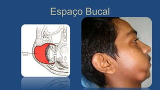 Espaço Bucal
 