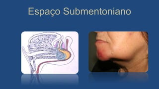 Espaço Submentoniano
 