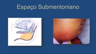 Espaço Submentoniano
 