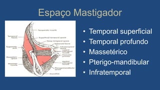 Espaço Mastigador
• Temporal superficial
• Temporal profundo
• Massetérico
• Pterigo-mandibular
• Infratemporal
 