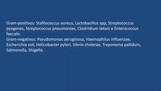 Gram-positivos: Stafilococcus aureus, Lactobacillus spp, Streptococcus
pyogenes, Streptococcus pneumoniae, Clostridium tetani e Enterococcus
faecalis.
Gram-negativos: Pseudomonas aeruginosa, Haemophilus influenzae,
Escherichia coli, Helicobacter pylori, Vibrio cholerae, Treponema pallidum,
Salmonella, Shigella.
 