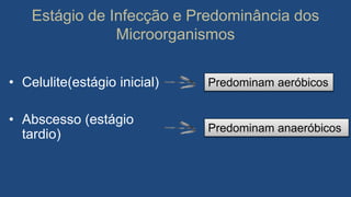 Estágio de Infecção e Predominância dos
Microorganismos
• Celulite(estágio inicial)
• Abscesso (estágio
tardio)
Predominam aeróbicos
Predominam anaeróbicos
 