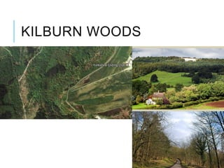 KILBURN WOODS
 