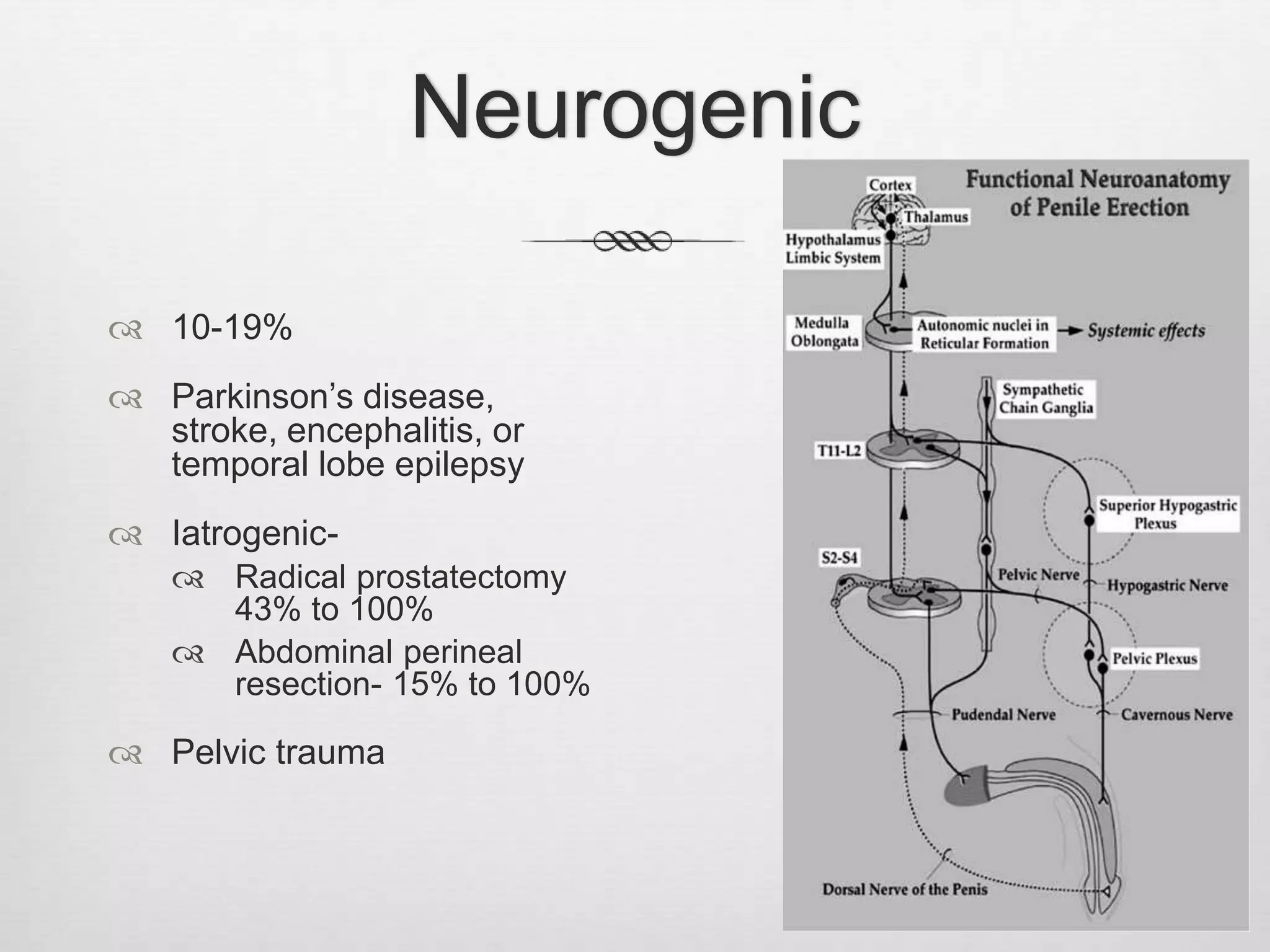 Anatomy and physiology of Erection & pathophysiology of erectile ...
