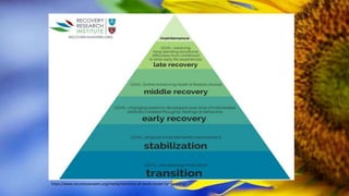 https://www.recoveryanswers.org/media/hierarchy-of-needs-model-for-recovery/
 
