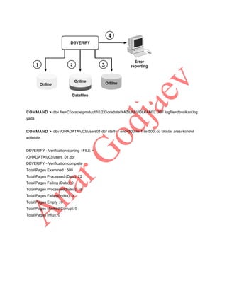 COMMAND > dbv file=C:oracleproduct10.2.0oradataYAZILIMVOLKAN02.DBF logfile=dbvolkan.log
yada
COMMAND > dbv /ORADATA/u03/users01.dbf start=1 end=500 ile 1 ile 500 .cü bloklar arası kontrol
edilebilir.
DBVERIFY - Verification starting : FILE =
/ORADATA/u03/users_01.dbf
DBVERIFY - Verification complete
Total Pages Examined : 500
Total Pages Processed (Data): 22
Total Pages Failing (Data): 0
Total Pages Processed(Index): 16
Total Pages Failing(Index): 0
Total Pages Empty : 0
Total Pages Marked Corrupt: 0
Total Pages Influx: 0

 