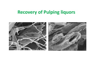 Recovery of Pulping liquors
 