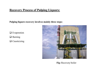 Recovery of pulping liquors | PPTX