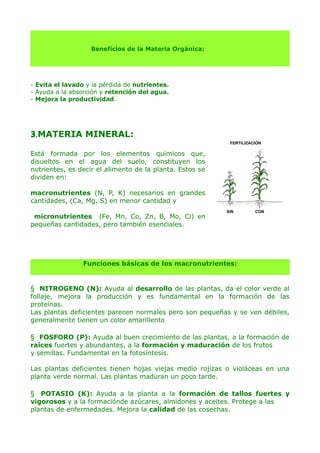 Beneficios de la Materia Orgánica:

- Evita el lavado y la pérdida de nutrientes.
- Ayuda a la absorción y retención del agua.
- Mejora la productividad.

3.MATERIA MINERAL:
Está formada por los elementos químicos que,
disueltos en el agua del suelo, constituyen los
nutrientes, es decir el alimento de la planta. Estos se
dividen en:
macronutrientes (N, P, K) necesarios en grandes
cantidades, (Ca, Mg, S) en menor cantidad y
micronutrientes (Fe, Mn, Co, Zn, B, Mo, Cl) en
pequeñas cantidades, pero también esenciales.

Funciones básicas de los macronutrientes:

 NITROGENO (N): Ayuda al desarrollo de las plantas, da el color verde al
follaje, mejora la producción y es fundamental en la formación de las
proteínas.
Las plantas deficientes parecen normales pero son pequeñas y se ven débiles,
generalmente tienen un color amarillento

 FOSFORO (P): Ayuda al buen crecimiento de las plantas, a la formación de
raíces fuertes y abundantes, a la formación y maduración de los frutos
y semillas. Fundamental en la fotosíntesis.
Las plantas deficientes tienen hojas viejas medio rojizas o violáceas en una
planta verde normal. Las plantas maduran un poco tarde.

 POTASIO (K): Ayuda a la planta a la formación de tallos fuertes y
vigorosos y a la formaciónde azúcares, almidones y aceites. Protege a las
plantas de enfermedades. Mejora la calidad de las cosechas.

 