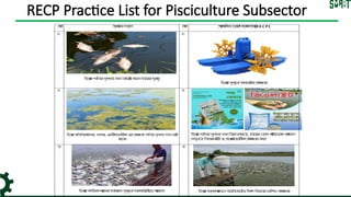 Implementing Resource Efficient and Cleaner Production (RECP) for ...