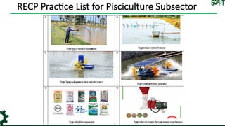 Implementing Resource Efficient and Cleaner Production (RECP) for ...