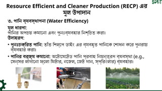 Implementing Resource Efficient and Cleaner Production (RECP) for ...