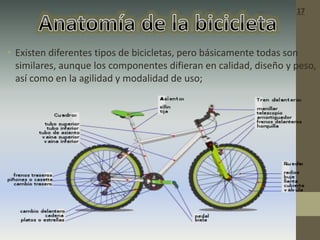 • Existen diferentes tipos de bicicletas, pero básicamente todas son
similares, aunque los componentes difieran en calidad, diseño y peso,
así como en la agilidad y modalidad de uso;
17
 