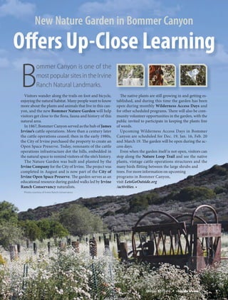 7Winter 2015-16 Inside Irvine
B
ommer Canyon is one of the
most popular sites in the Irvine
Ranch Natural Landmarks.
Visitors wander along the trails on foot and bicycle,
enjoying the natural habitat. Many people want to know
more about the plants and animals that live in this can-
yon, and the new Bommer Nature Garden will help
visitors get close to the flora, fauna and history of this
natural area.
In 1867, Bommer Canyon served as the hub of James
Irvine’s cattle operations. More than a century later
the cattle operations ceased; then in the early 1980s,
the City of Irvine purchased the property to create an
Open Space Preserve. Today, remnants of the cattle
operations infrastructure dot the hills, embedded in
the natural space to remind visitors of the site’s history.
The Nature Garden was built and planted by the
Irvine Company for the City of Irvine. The project was
completed in August and is now part of the City of
Irvine Open Space Preserve. The garden serves as an
educational resource during guided walks led by Irvine
Ranch Conservancy naturalists.
Photos courtesy of Irvine Ranch Conservancy
The native plants are still growing in and getting es-
tablished, and during this time the garden has been
open during monthly Wilderness Access Days and
for other scheduled programs. There will also be com-
munity volunteer opportunities in the garden, with the
public invited to participate in keeping the plants free
of weeds.
Upcoming Wilderness Access Days in Bommer
Canyon are scheduled for Dec. 19, Jan. 16, Feb. 20
and March 19. The garden will be open during the ac-
cess days.
Even when the garden itself is not open, visitors can
stop along the Nature Loop Trail and see the native
plants, vintage cattle operations structures and the
many birds flitting between the large shrubs and
trees. For more information on upcoming
programs in Bommer Canyon,
visit LetsGoOutside.org
/activities. ■
New Nature Garden in Bommer Canyon
 