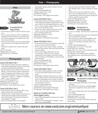 Brochure Inspiration: Spring 2016 Recreation