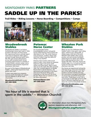 Brochure Inspiration: Spring 2016 Recreation