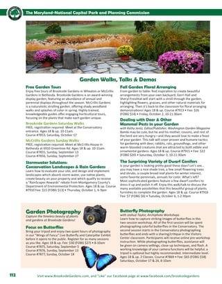 Brochure Inspiration: Spring 2016 Recreation