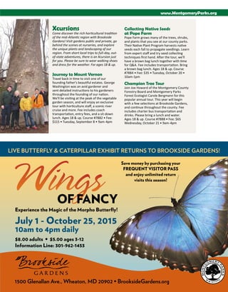 Brochure Inspiration: Spring 2016 Recreation