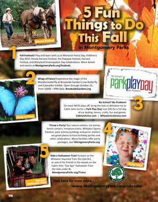 Brochure Inspiration: Spring 2016 Recreation