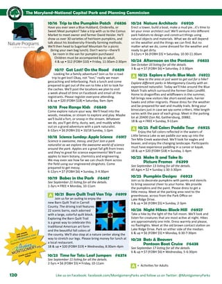 Brochure Inspiration: Spring 2016 Recreation