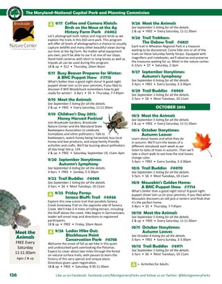 Brochure Inspiration: Spring 2016 Recreation