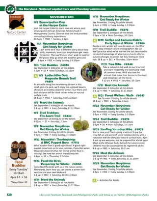 Brochure Inspiration: Spring 2016 Recreation